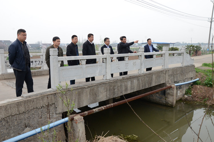 实地查看益平村长征河河长制执行情况_副本.jpg